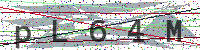 Enter Security Code