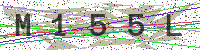 Enter Security Code