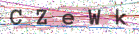 Enter Security Code