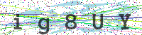 Enter Security Code