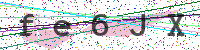 Enter Security Code