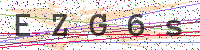 Enter Security Code