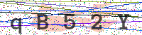 Enter Security Code