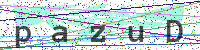 Sicherheitscode eingeben