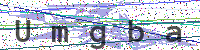 Enter Security Code