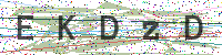 Enter Security Code