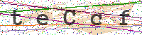 Sicherheitscode eingeben