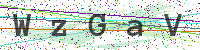 Enter Security Code