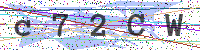 Enter Security Code