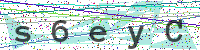 Sicherheitscode eingeben