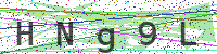 Enter Security Code