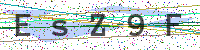 Enter Security Code