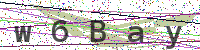 Enter Security Code