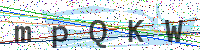 Enter Security Code