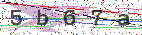 Enter Security Code