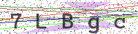 Enter Security Code