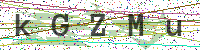 Enter Security Code