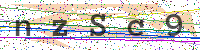 Enter Security Code