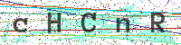 Enter Security Code