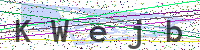 Enter Security Code