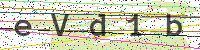 Enter Security Code