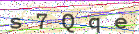 Enter Security Code