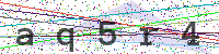 Enter Security Code