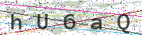 Enter Security Code