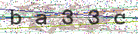 Enter Security Code