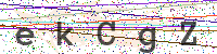 Enter Security Code