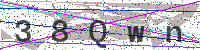 Enter Security Code
