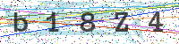 Sicherheitscode eingeben
