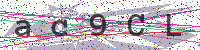 Enter Security Code