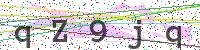Enter Security Code