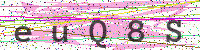 Enter Security Code