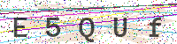 Enter Security Code