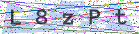 Sicherheitscode eingeben