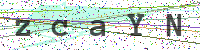 Enter Security Code
