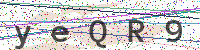 Enter Security Code