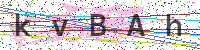 Enter Security Code