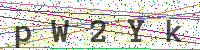 Enter Security Code