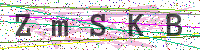 Enter Security Code