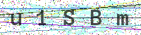 Enter Security Code
