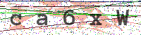 Enter Security Code