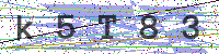Sicherheitscode eingeben