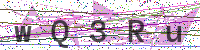 Enter Security Code