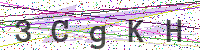 Enter Security Code
