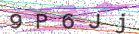 Enter Security Code