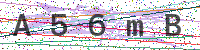 Enter Security Code
