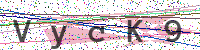 Enter Security Code